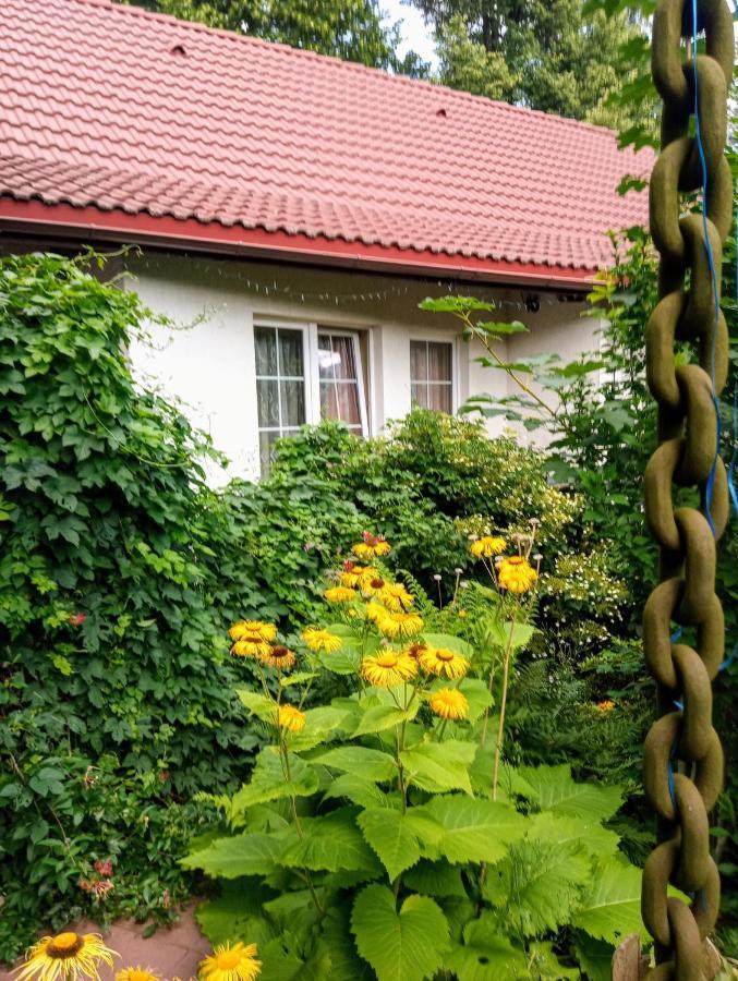 Bialy Dom Aparthotel Ściegny Exterior foto